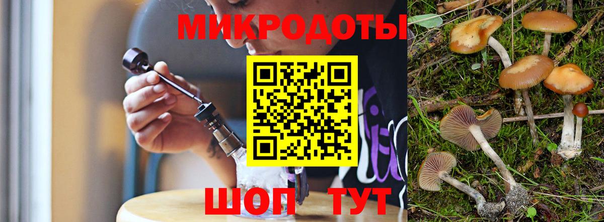 Галлюциногенные грибы Psilocybine cubensis Еманжелинск