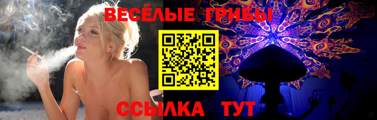 Галлюциногенные грибы Psilocybe  Вход с VPN  Еманжелинск 